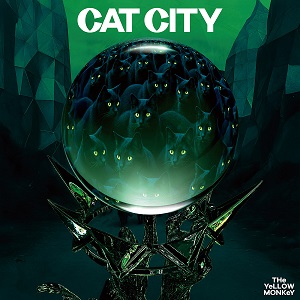 CAT CITY